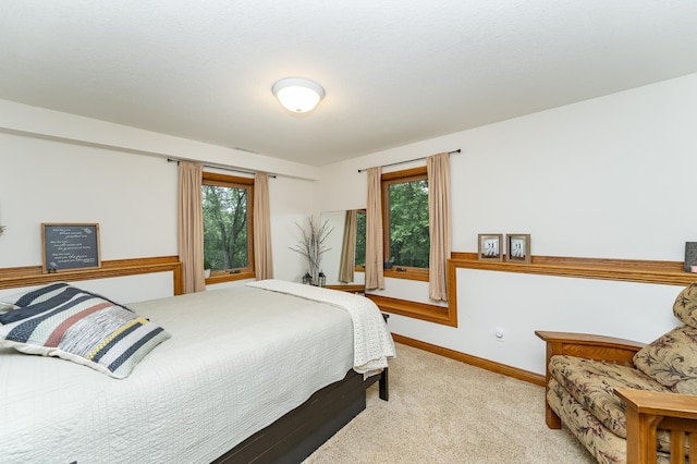 25 Conway Ct SE, Rochester Twp, MN 55904 - carpeted bedroom featuring multiple windows