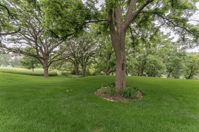 25 Conway Ct SE, Rochester Twp, MN 55904 - view of green lawn