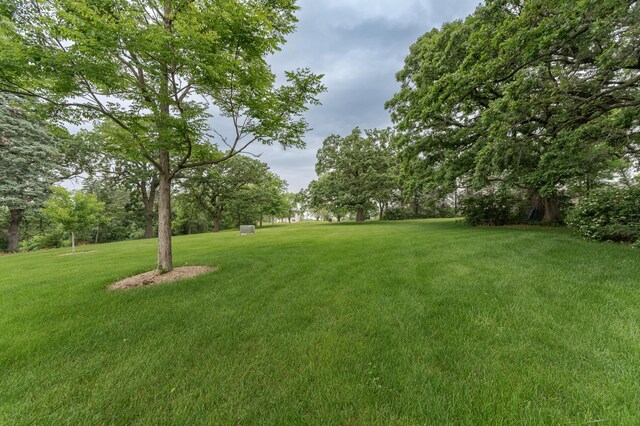 25 Conway Ct SE, Rochester Twp, MN 55904 - view of grassy yard