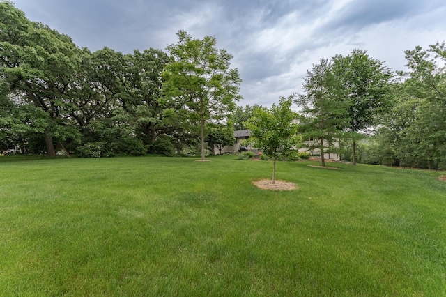 25 Conway Ct SE, Rochester Twp, MN 55904 - view of green lawn