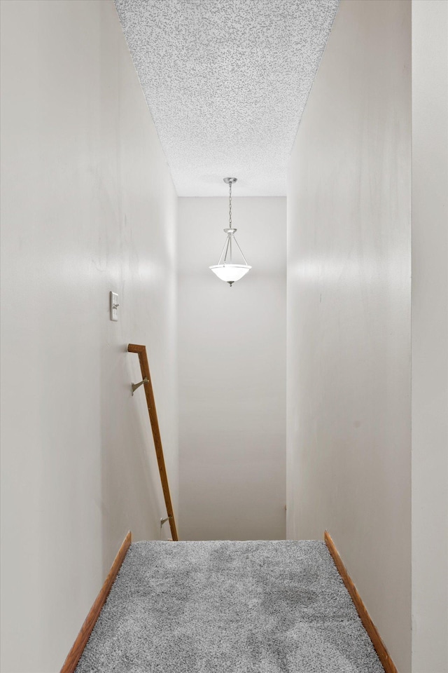 25634 3rd St W, Zimmerman, MN 55398 - stairway with carpet flooring and a textured ceiling