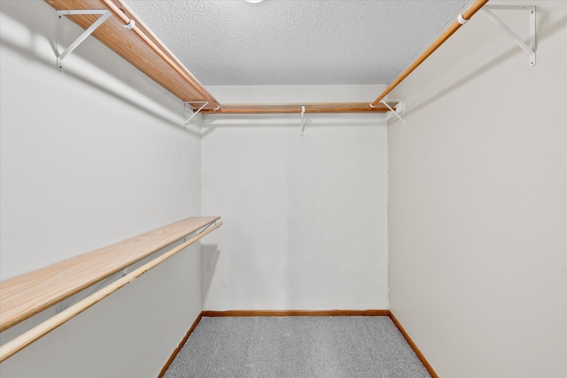 25634 3rd St W, Zimmerman, MN 55398 - spacious closet with carpet