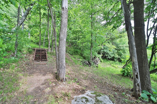 TBD Eagle Lake Rd, Fifty Lakes, MN 56448