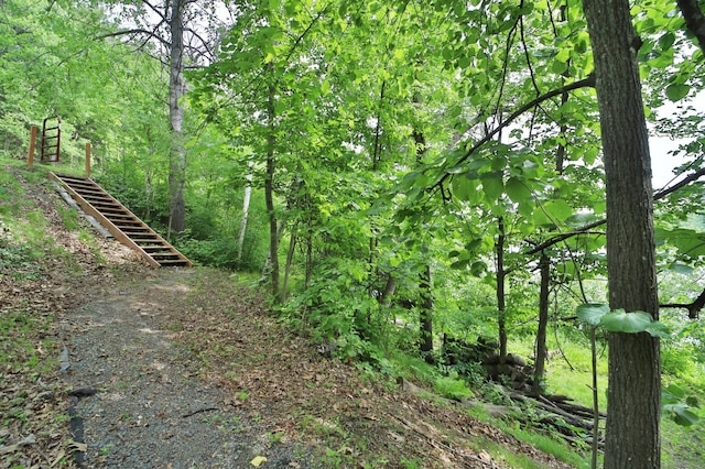 TBD Eagle Lake Rd, Fifty Lakes, MN 56448