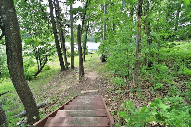 TBD Eagle Lake Rd, Fifty Lakes, MN 56448