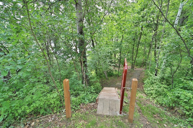 TBD Eagle Lake Rd, Fifty Lakes, MN 56448