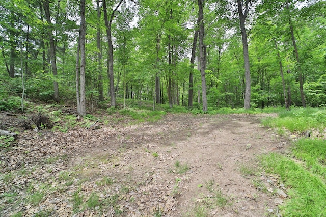 TBD Eagle Lake Rd, Fifty Lakes, MN 56448