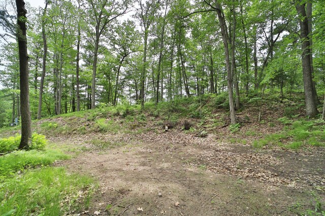 TBD Eagle Lake Rd, Fifty Lakes, MN 56448