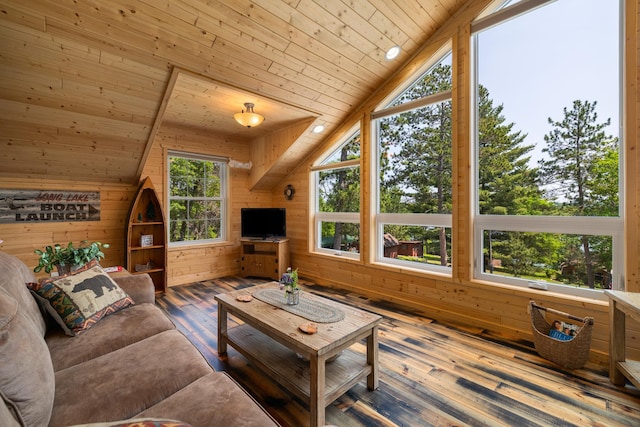 14292 Chippewa Loop, Park Rapids, MN 56470 - living area featuring wooden ceiling, lofted ceiling, hardwood / wood-style floors, and wooden walls