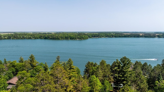14292 Chippewa Loop, Park Rapids, MN 56470 - water view