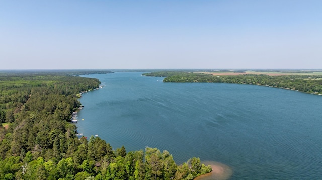 14292 Chippewa Loop, Park Rapids, MN 56470 - water view featuring a forest