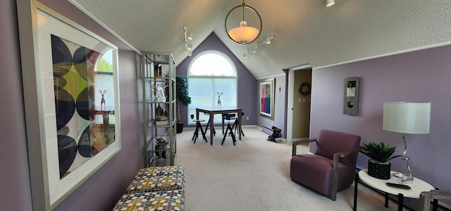 3263 County Road 20, International Falls, MN 56649 - photo 22