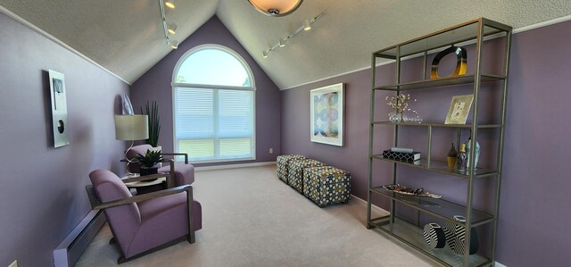 3263 County Road 20, International Falls, MN 56649 - photo 23