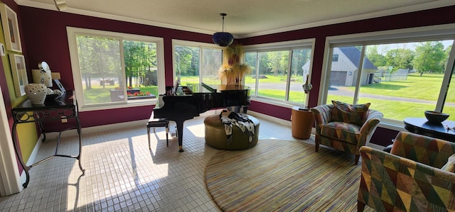 3263 County Road 20, International Falls, MN 56649 - photo 11