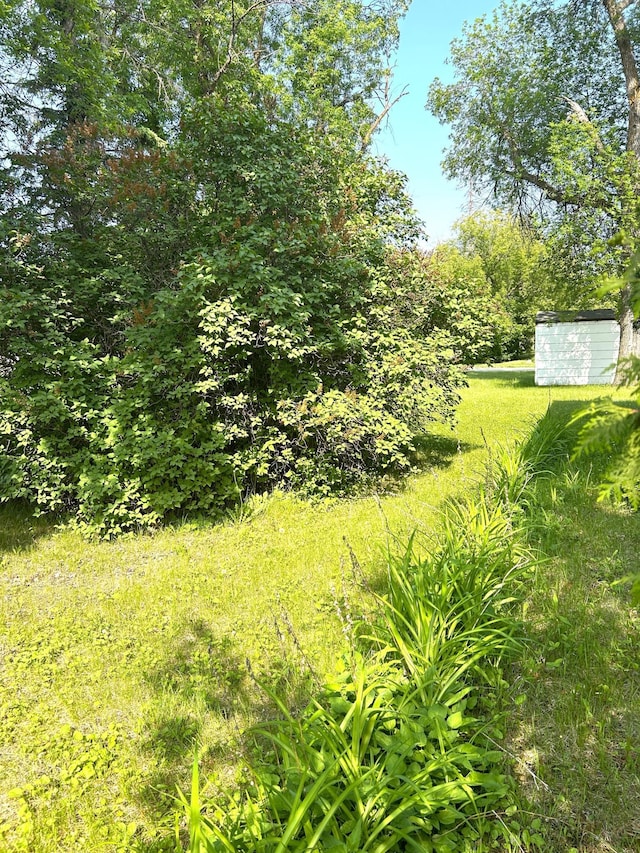 302 State Ave S, Warroad, MN 56763 - photo 12