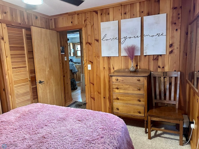 12981 Arcadia Ct NE, Turtle Lake Twp, MN 56601 - carpeted bedroom featuring wood walls and a closet