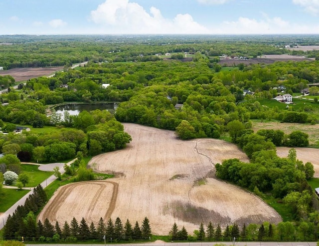 TBD Rosedale Ave N, Hanover, MN 55341 - drone / aerial view of a heavily wooded area and a nearby body of water