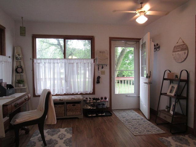 401 St Paul Ave, Fulda, MN 56131 - office space with wood finished floors and ceiling fan