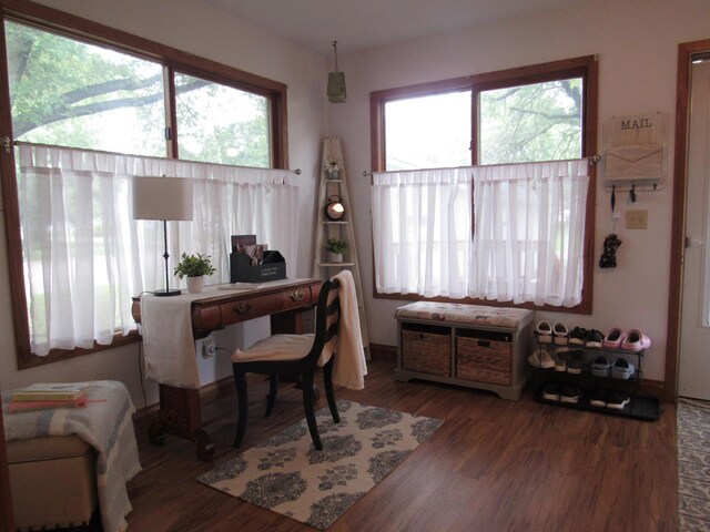 401 St Paul Ave, Fulda, MN 56131 - home office featuring healthy amount of natural light and wood finished floors