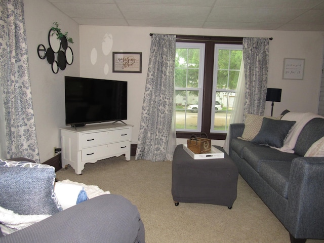 401 St Paul Ave, Fulda, MN 56131 - living area with a drop ceiling and carpet flooring