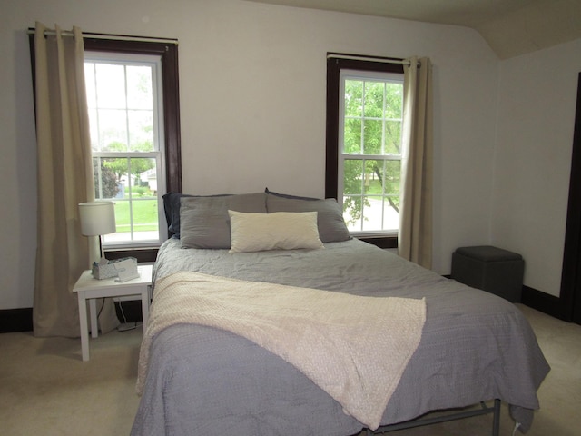 401 St Paul Ave, Fulda, MN 56131 - bedroom with carpet floors and vaulted ceiling