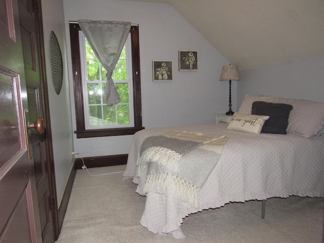 401 St Paul Ave, Fulda, MN 56131 - bedroom with light colored carpet and vaulted ceiling
