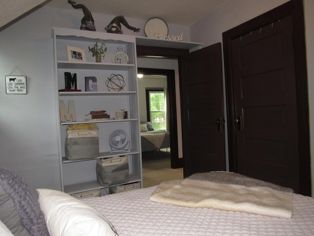 401 St Paul Ave, Fulda, MN 56131 - bedroom with carpet flooring
