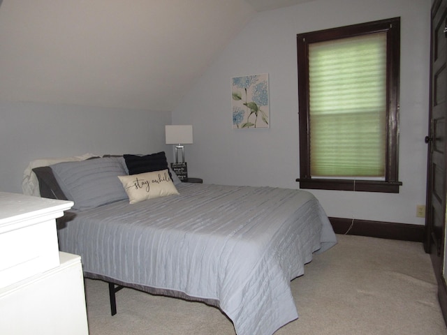 401 St Paul Ave, Fulda, MN 56131 - carpeted bedroom with vaulted ceiling