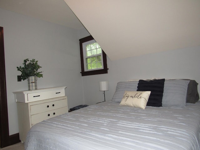 401 St Paul Ave, Fulda, MN 56131 - bedroom featuring lofted ceiling