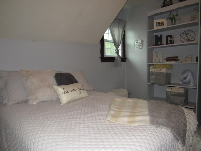 401 St Paul Ave, Fulda, MN 56131 - bedroom featuring lofted ceiling