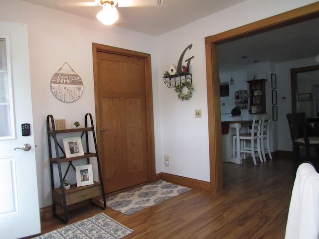 401 St Paul Ave, Fulda, MN 56131 - foyer with dark wood-style floors and ceiling fan