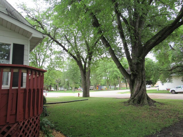 401 St Paul Ave, Fulda, MN 56131 - view of grassy yard
