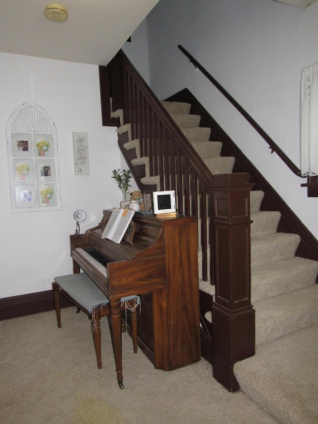 401 St Paul Ave, Fulda, MN 56131 - staircase featuring carpet and baseboards