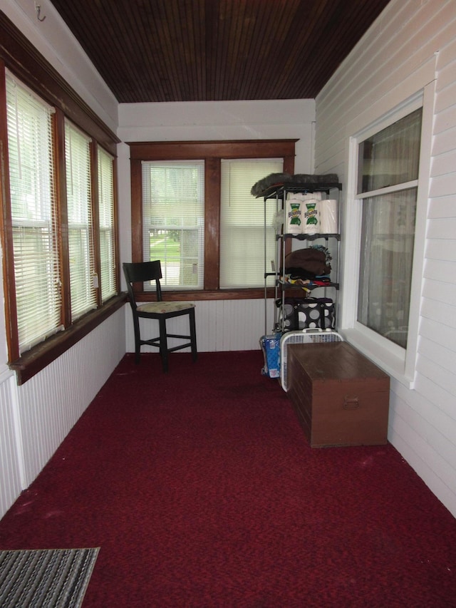 401 St Paul Ave, Fulda, MN 56131 - sunroom with carpet, wood walls, and wooden ceiling