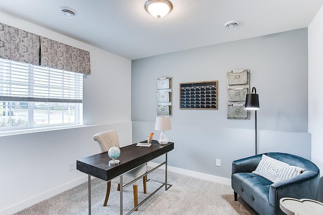 6728 Hinterland Trl S, Cottage Grove, MN 55016 - office with light colored carpet