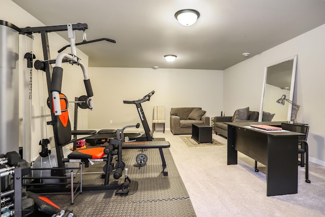 1326 Commander Dr W, West Fargo, ND 58078 - exercise room with carpet flooring