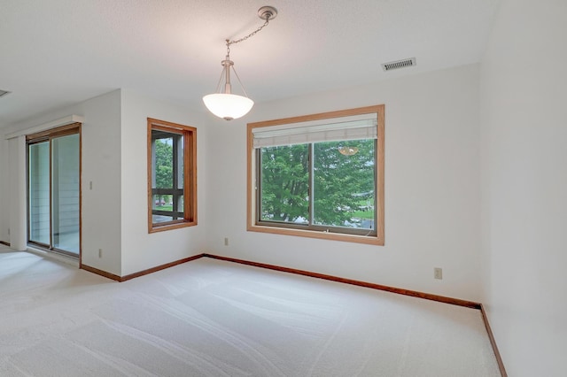 3801 98th St Unit 108, Bloomington, MN 55431 - spare room with light colored carpet and baseboards