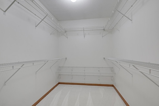 3801 98th St Unit 108, Bloomington, MN 55431 - spacious closet featuring light colored carpet