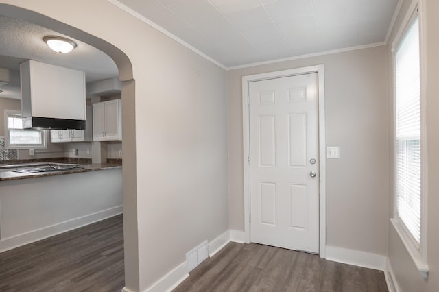 1303 Fremont Ave, Saint Paul, MN 55106 - entryway with dark wood-style floors, ornamental molding, plenty of natural light, and arched walkways