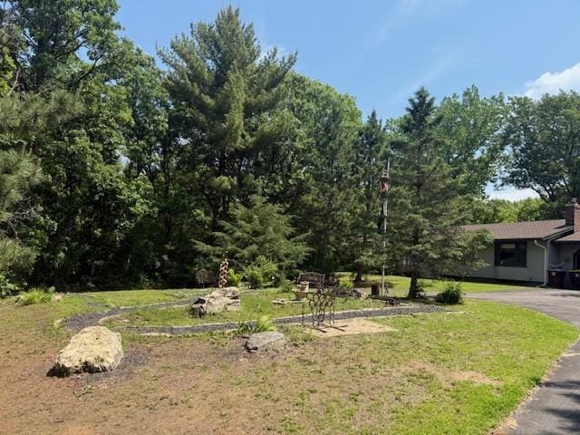 20430 Rhoda Ave, Ravenna Twp, MN 55089 - view of green lawn with driveway
