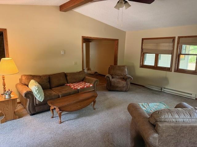 20430 Rhoda Ave, Ravenna Twp, MN 55089 - carpeted living room featuring a ceiling fan and baseboard heating