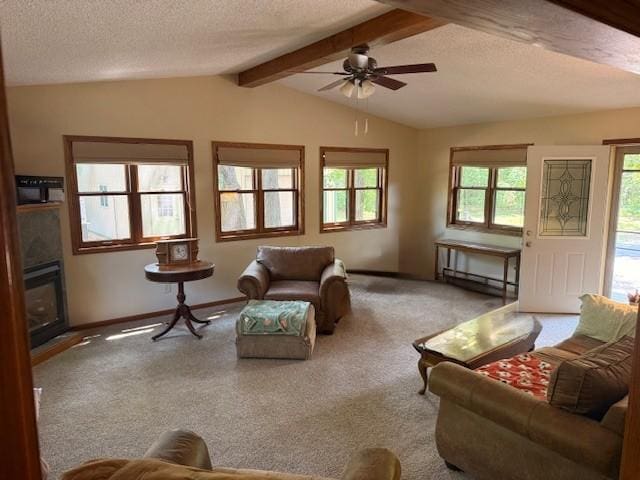 20430 Rhoda Ave, Ravenna Twp, MN 55089 - living area with carpet floors, a textured ceiling, a ceiling fan, and baseboard heating