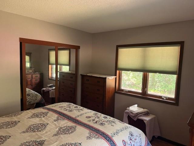 20430 Rhoda Ave, Ravenna Twp, MN 55089 - bedroom featuring a textured ceiling