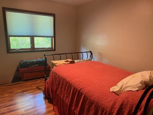 20430 Rhoda Ave, Ravenna Twp, MN 55089 - bedroom featuring wood finished floors