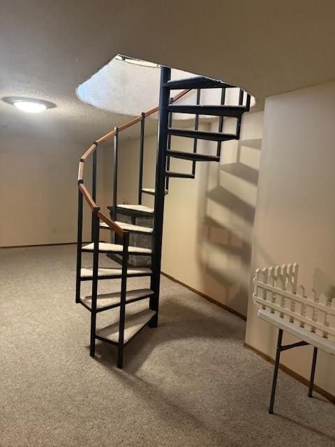 20430 Rhoda Ave, Ravenna Twp, MN 55089 - stairs with carpet flooring and baseboards