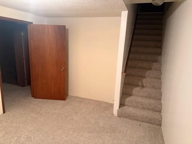 20430 Rhoda Ave, Ravenna Twp, MN 55089 - stairs with carpet floors and a textured ceiling