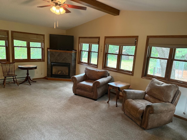 20430 Rhoda Ave, Welch, MN 55089 - photo 3