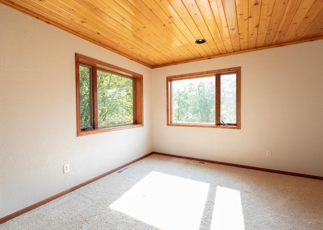 9777 Gruhlke Rd, Summit Twp, WI 54836 - spare room with wooden ceiling and light colored carpet