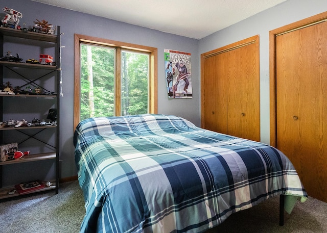 9777 Gruhlke Rd, Summit Twp, WI 54836 - carpeted bedroom featuring multiple closets