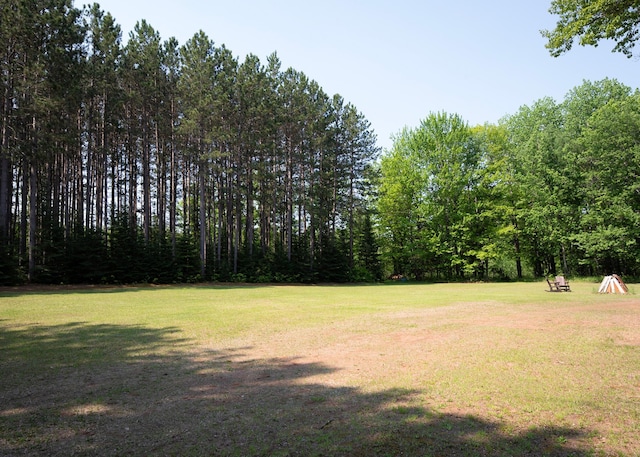9777 Gruhlke Rd, Summit Twp, WI 54836 - view of grassy yard